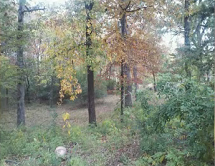 1.67 ACRES