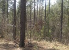 67 acres