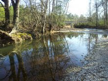 Creek Front