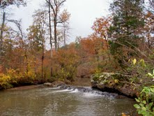 Creek View2