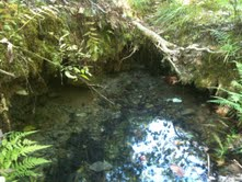 Fountain Lake Trail
