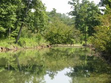 Water Hole
