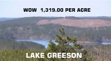LAKE GREESON