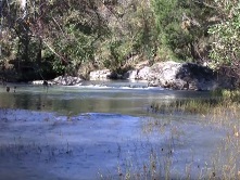 11c creek view